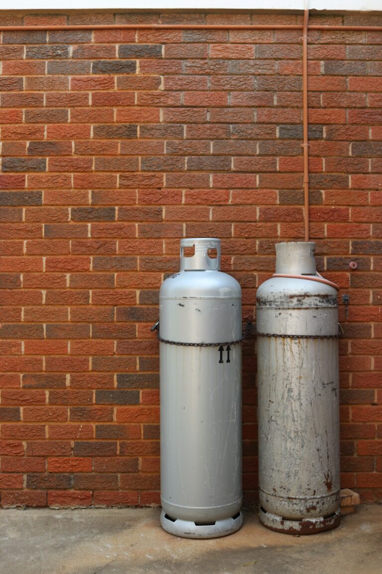 A homeowner checks a residential propane tank and regulator in a backyard setting.
